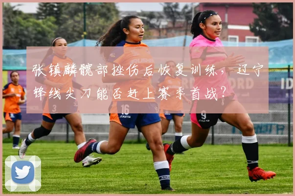 张镇麟髋部挫伤后恢复训练，辽宁锋线尖刀能否赶上赛季首战？